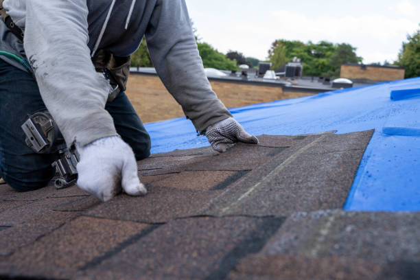 Best Shingle Roofing Installation  in Monrovia, MD